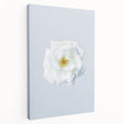 Spring-themed abstract canvas depicting trees in bloom with soft green and pink hues, ideal for kitchen wall art.