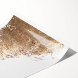 Extra large wall art featuring line art flowers in black on a white background, ideal for large living room decor.