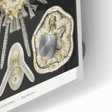 Modern Wall Art: Geometric Woman - Bold Abstract Feminine Print