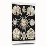 Modern Wall Art: Geometric Woman - Bold Abstract Feminine Print