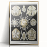 Modern Wall Art: Geometric Woman - Bold Abstract Feminine Print