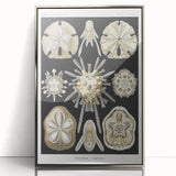 Modern Wall Art: Geometric Woman - Bold Abstract Feminine Print