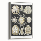 Modern Wall Art: Geometric Woman - Bold Abstract Feminine Print