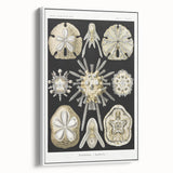 Modern Wall Art: Geometric Woman - Bold Abstract Feminine Print