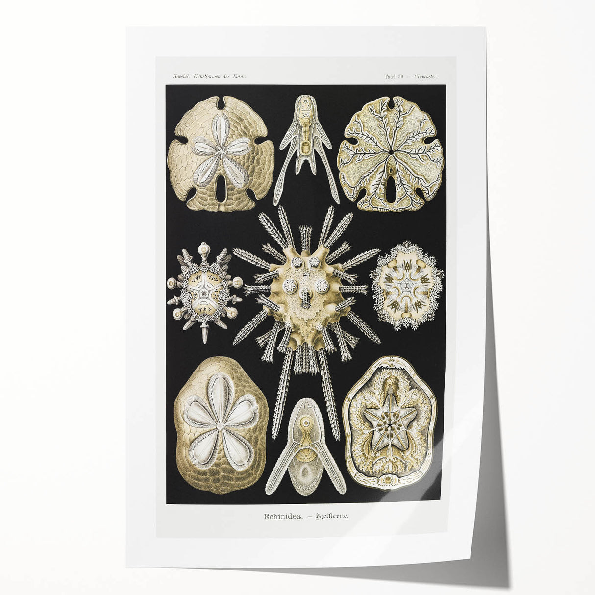 Modern Wall Art: Geometric Woman - Bold Abstract Feminine Print