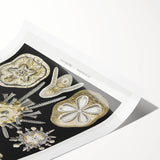 Modern Wall Art: Geometric Woman - Bold Abstract Feminine Print