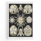 Modern Wall Art: Geometric Woman - Bold Abstract Feminine Print