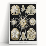 Modern Wall Art: Geometric Woman - Bold Abstract Feminine Print