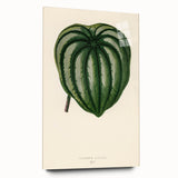 Romanticism Art - Historical Romanticism Canvas of Nature's Beauty