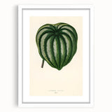 Romanticism Art - Historical Romanticism Canvas of Nature's Beauty