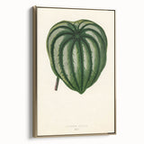 Romanticism Art - Historical Romanticism Canvas of Nature's Beauty