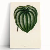 Romanticism Art - Historical Romanticism Canvas of Nature's Beauty