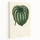 Romanticism Art - Historical Romanticism Canvas of Nature's Beauty