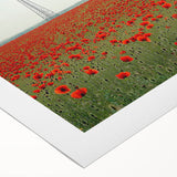 Vibrant rolled canvas depicting a serene countryside landscape with rolling hills and a clear blue sky, elegantly packaged in a protective cardboard tube for easy transport.