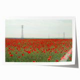 Rolled print depicting a serene countryside landscape with rolling hills and vibrant greenery, carefully packaged in a protective cardboard tube for shipping. Ideal for home decor enthusiasts seeking nature-inspired art.