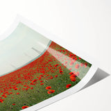 Rolled print showcasing a serene countryside landscape with rolling hills and vibrant greenery, packaged securely in a protective cardboard tube for easy transport.