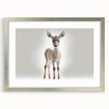 Adorable Baby Deer Wall Art - Perfect for Kids Room Decor