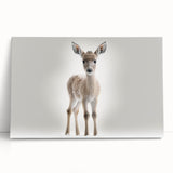 Adorable Baby Deer Wall Art - Perfect for Kids Room Decor