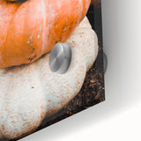 Acrylic print of a large abstract wall art with autumnal hues and mid-century modernist style, ideal for dining room decor.