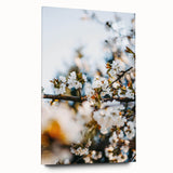 Large abstract wall art in soft pastel shades on acrylic glass, ideal for bedroom or dining room decor.