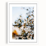 Abstract art print depicting spring with soft pastel shades on a white framed canvas, ideal for dining room decor.