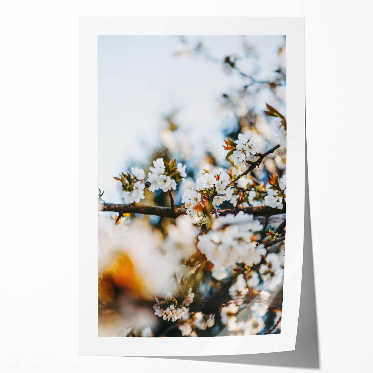Extra large rolled print of spring floral art in pastel shades, ideal for dining room or bathroom wall decor.