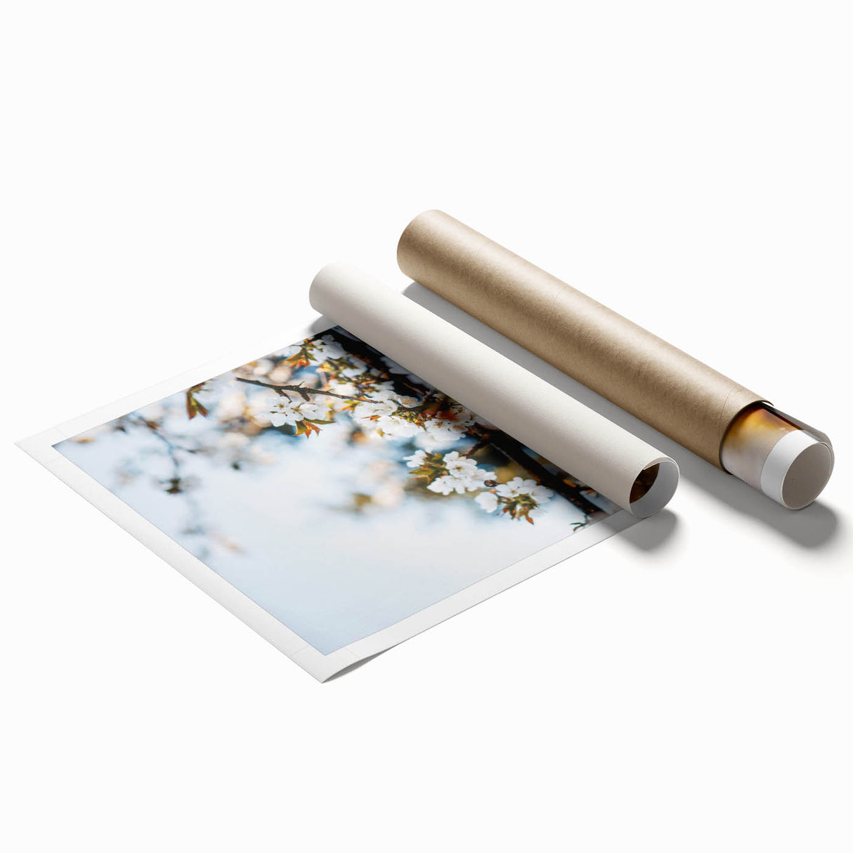 Extra large rolled print featuring spring floral art in pastel shades.