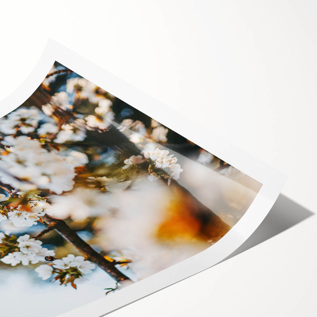 Extra large wall art featuring line art flowers in soft pastel shades on a rolled canvas.