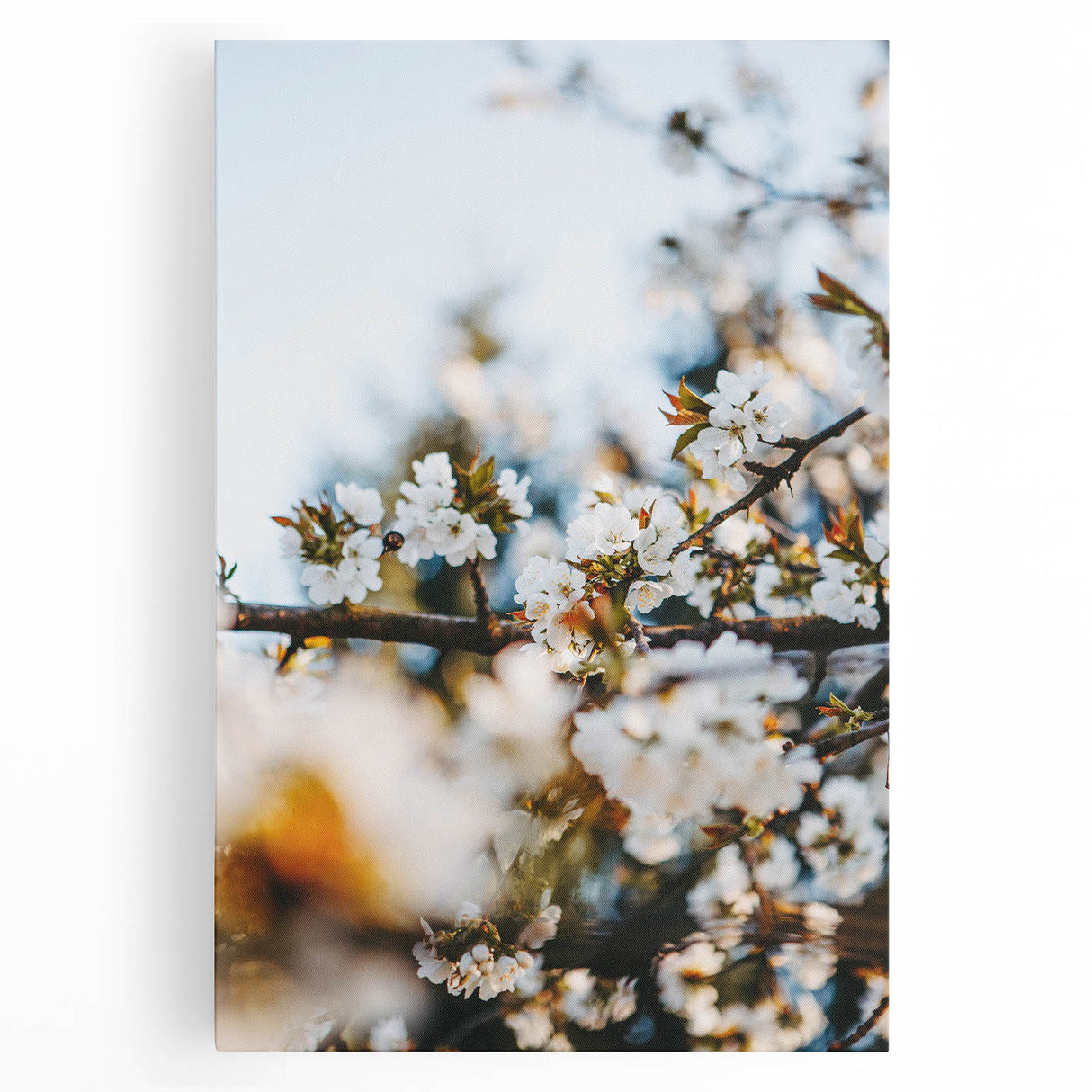 Large black and white stretched canvas depicting a minimalist spring scene, ideal for kitchen wall art.