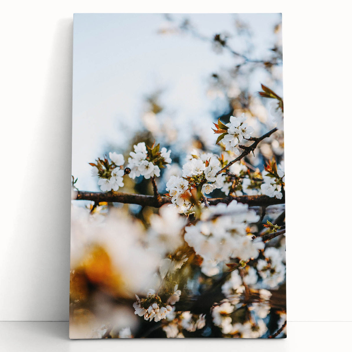 Black and white large art on stretched canvas depicting spring season, ideal for kitchen wall art or bedroom ambiance.