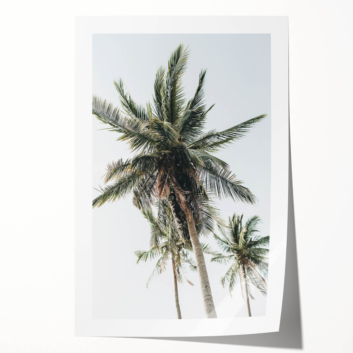Extra large rolled canvas print featuring a vibrant floral design, ideal for art wall dining room decor.