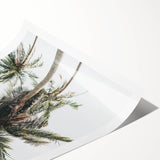 Extra large wall art featuring line art flowers in black on a white background, ideal for large living room wall décor.