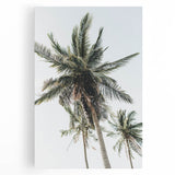 Black and white abstract design on large stretched canvas, featuring dynamic swirl patterns, ideal for kitchen wall art.