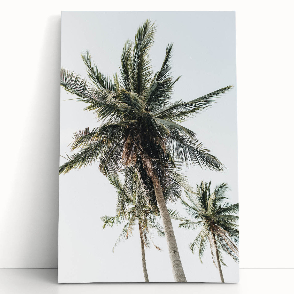 Large black and white stretched canvas featuring a minimalist summer tree design, ideal for kitchen wall art.