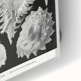 Modern Wall Art: Abstract Faces - Contemporary Minimalist Print