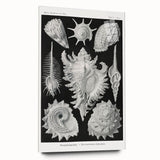 Modern Wall Art: Abstract Faces - Contemporary Minimalist Print