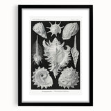 Modern Wall Art: Abstract Faces - Contemporary Minimalist Print