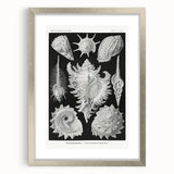 Modern Wall Art: Abstract Faces - Contemporary Minimalist Print