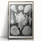 Modern Wall Art: Abstract Faces - Contemporary Minimalist Print