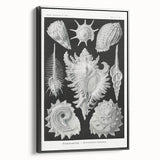 Modern Wall Art: Abstract Faces - Contemporary Minimalist Print