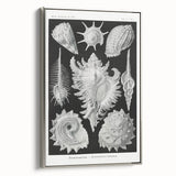 Modern Wall Art: Abstract Faces - Contemporary Minimalist Print