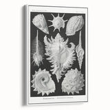 Modern Wall Art: Abstract Faces - Contemporary Minimalist Print