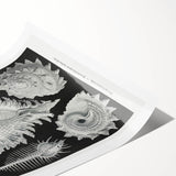 Modern Wall Art: Abstract Faces - Contemporary Minimalist Print