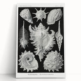 Modern Wall Art: Abstract Faces - Contemporary Minimalist Print