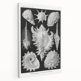 Modern Wall Art: Abstract Faces - Contemporary Minimalist Print