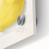 Large abstract wall art of colorful fruits on acrylic glass, ideal for dining room décor in a mid-century modernist style.