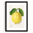Extra large abstract art print featuring colorful, textured depiction of fruits, framed with a black mat.