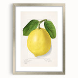 Textured art depicting abstract fruit designs in vibrant hues, framed with a silver mat, ideal for bedroom wall decor.
