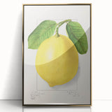 Large art print of assorted fruits in a mid-century modernist style on a gold-framed acrylic.