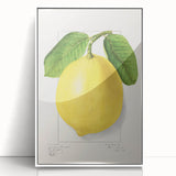 Acrylic print of colorful assorted fruits on white background, in art deco style, suitable for modern kitchen decor.